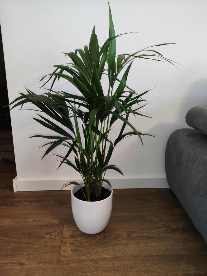 Apartament Milionova Apartment Лодз Екстериор снимка